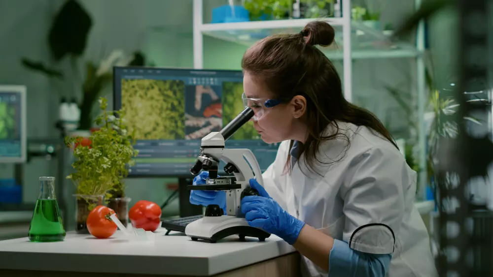 forest research at chemical lab