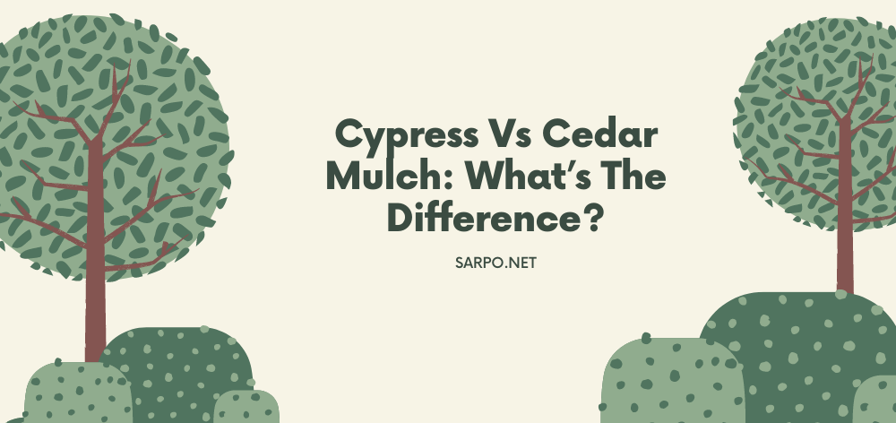 cypress vs cedar mulch