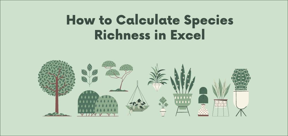 how to calculate species richness in excel