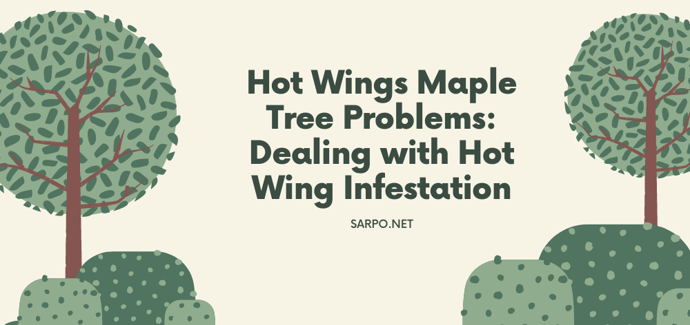 hot wings maple tree problems