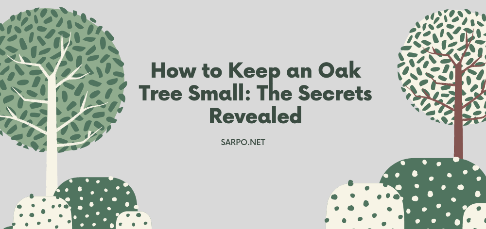 how to keep an oak tree small