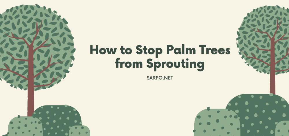 how to stop palm trees from sprouting