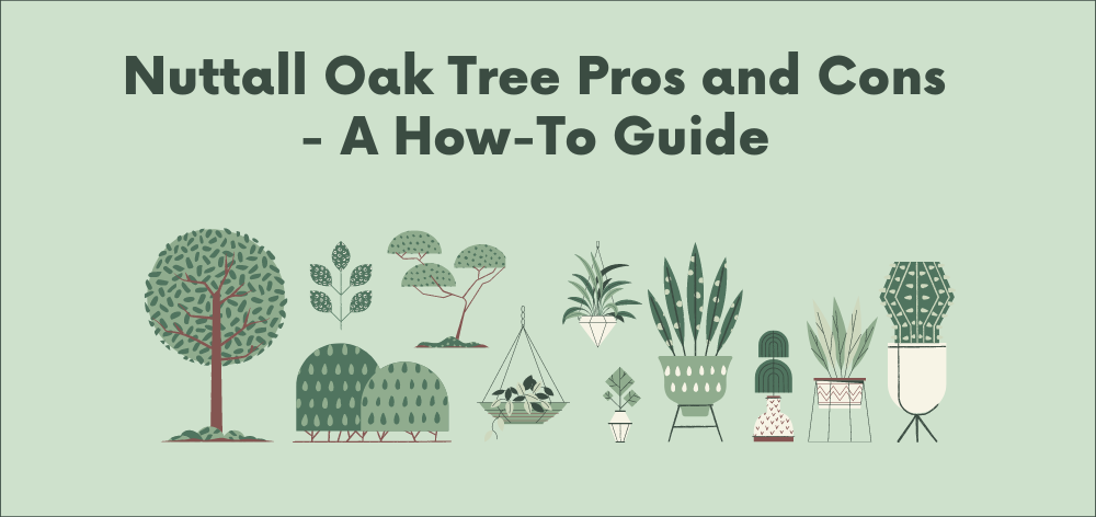 nuttall oak tree pros and cons