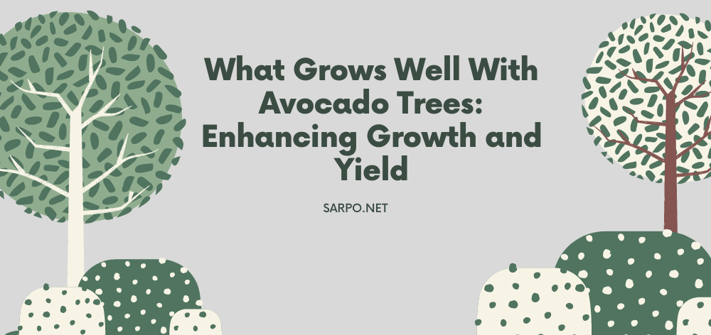 what grows well with avocado trees