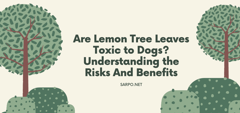 are lemon tree leaves toxic to dogs