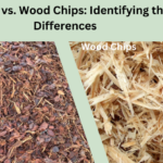 bark mulch vs. wood chips