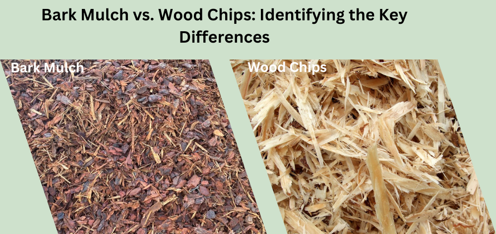 bark mulch vs. wood chips