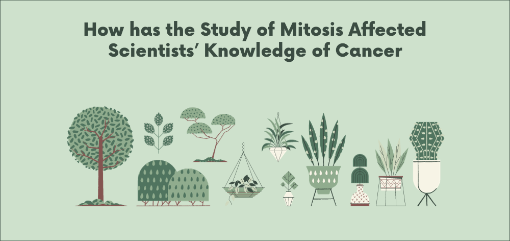 scientists’ knowledge of cancer]