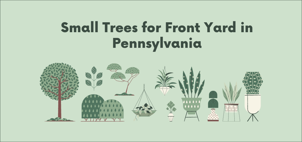 small trees for front yards in pennsylvania