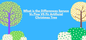 Spruce Vs Pine