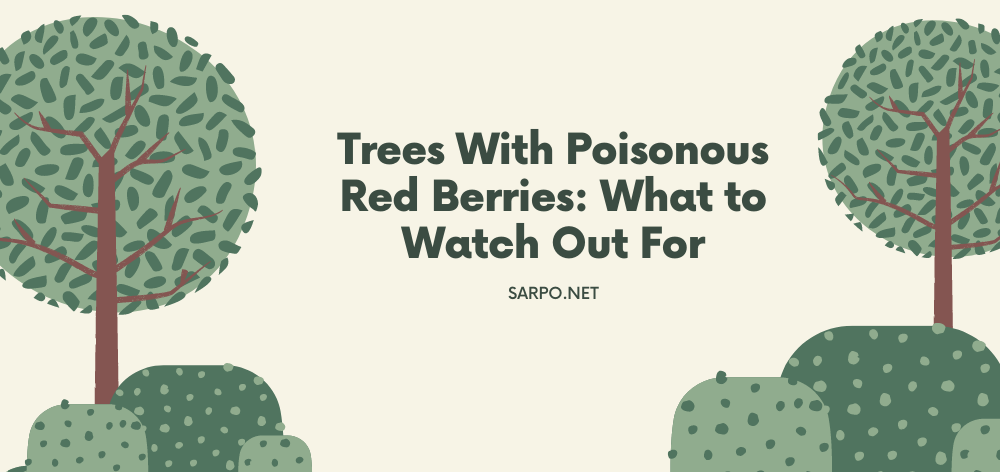 trees with poisonous red berries: what to watch out for