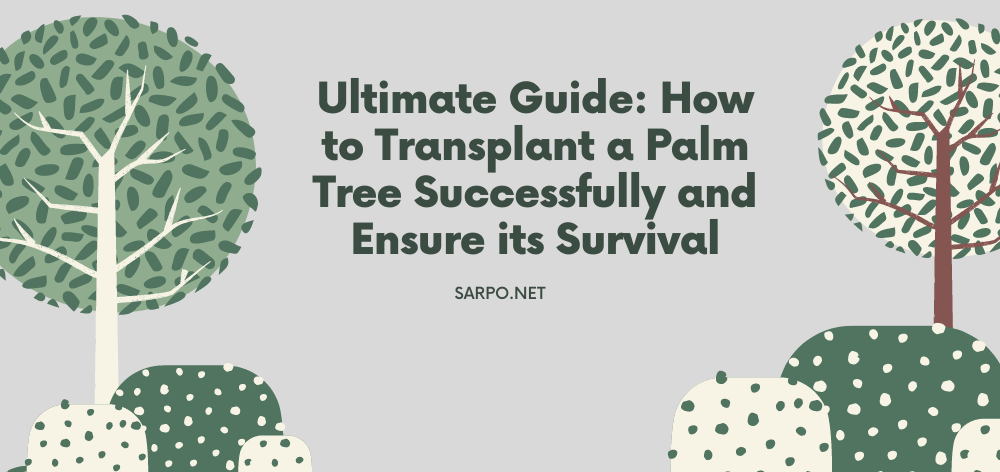 how to transplant a palm tree