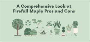 Firefall Maple Pros and Cons