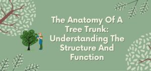 the anatomy of a tree trunk