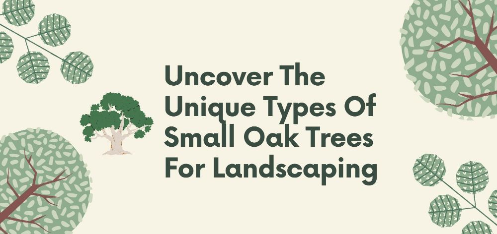 unique types of small oak trees for landscaping