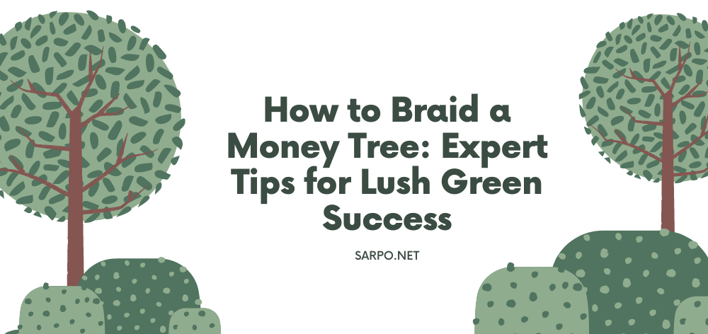 How to Braid a Money Tree