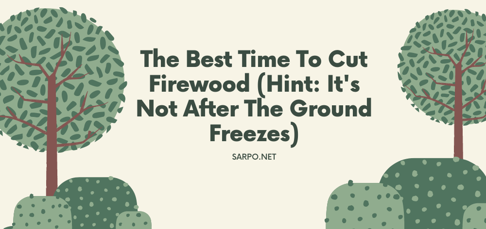 best time to cut firewood