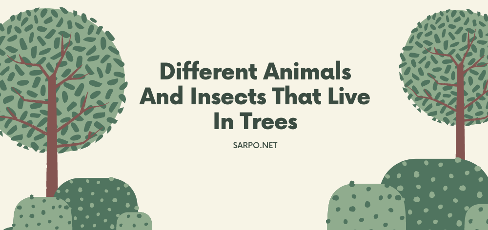 different animals and insects that live in trees