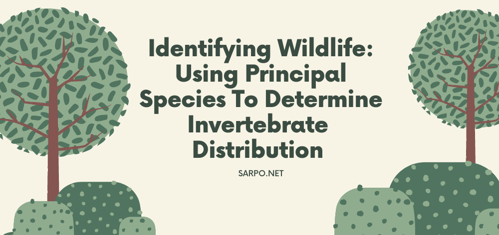 identifying wildlife: how to determine principal species