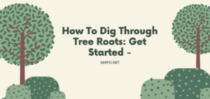 How To Dig Through Tree Roots