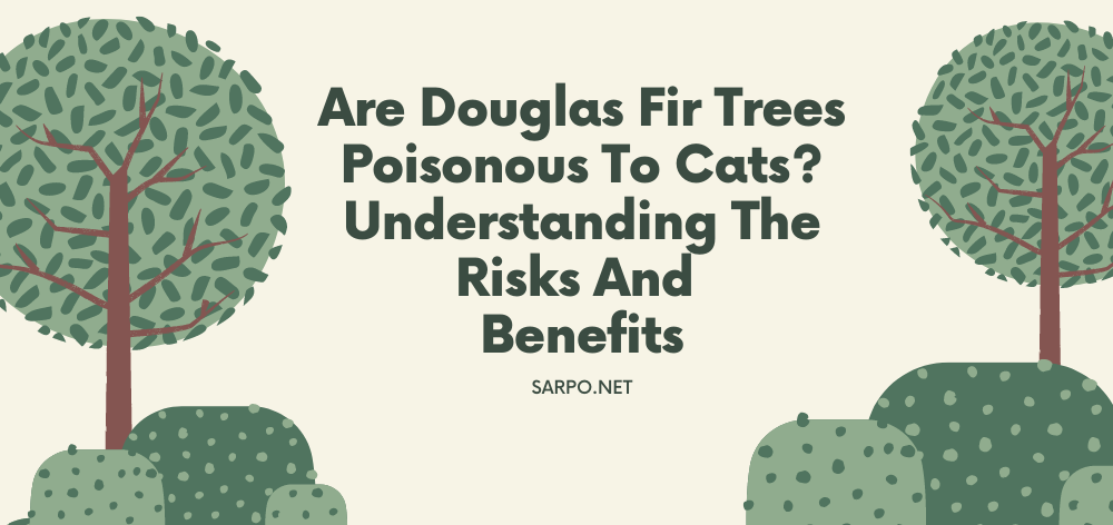 are douglas fir trees poisonous to cats