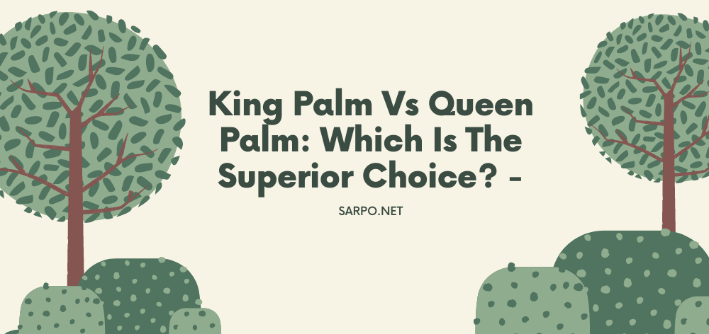 King Palm Vs Queen Palm