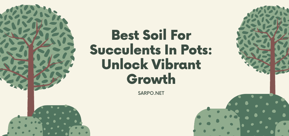 best soil for succulents in pots