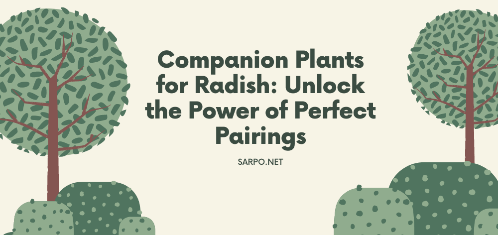 companion plants for radish