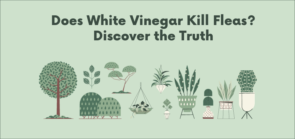 does white vinegar kill fleas