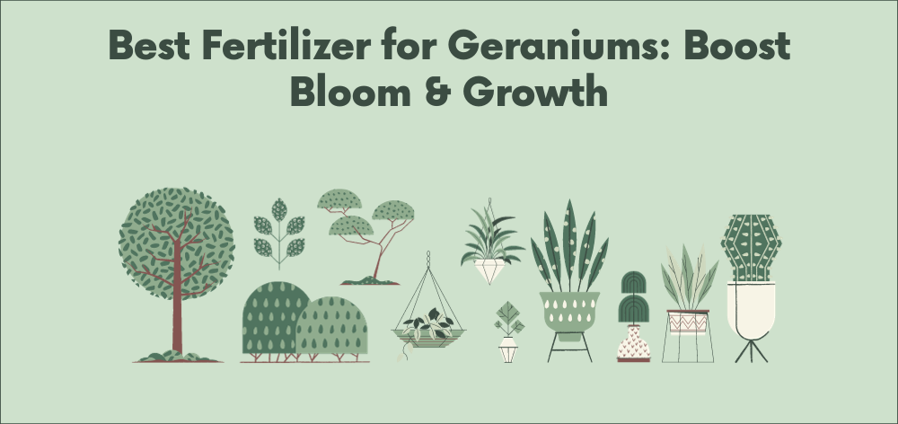 best fertilizer for geraniums