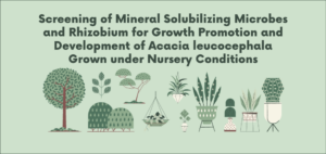 Screening of Mineral Solubilizing Microbes and Rhizobium for Growth Promotion