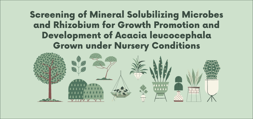 screening of mineral solubilizing microbes and rhizobium for growth promotion