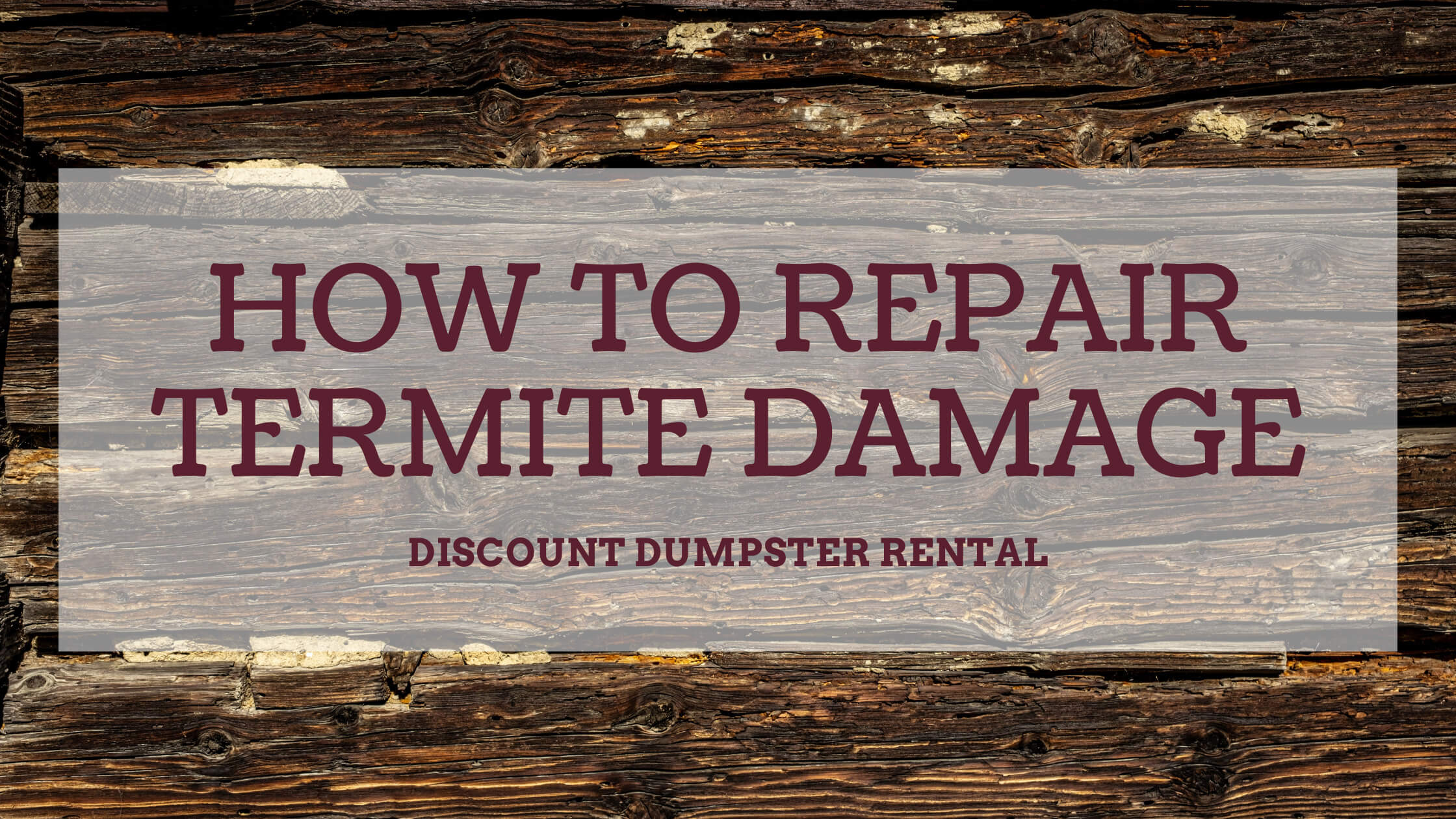 how do you fix termite damage