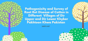 Pathogenicity and Survey of Root Rot Disease