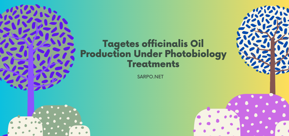 tagetes officinalis oil production