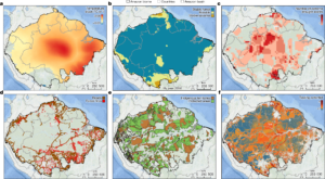 Amazon Rainforest Resilience Under Threat: Can We Protect This Vital Carbon Sink?