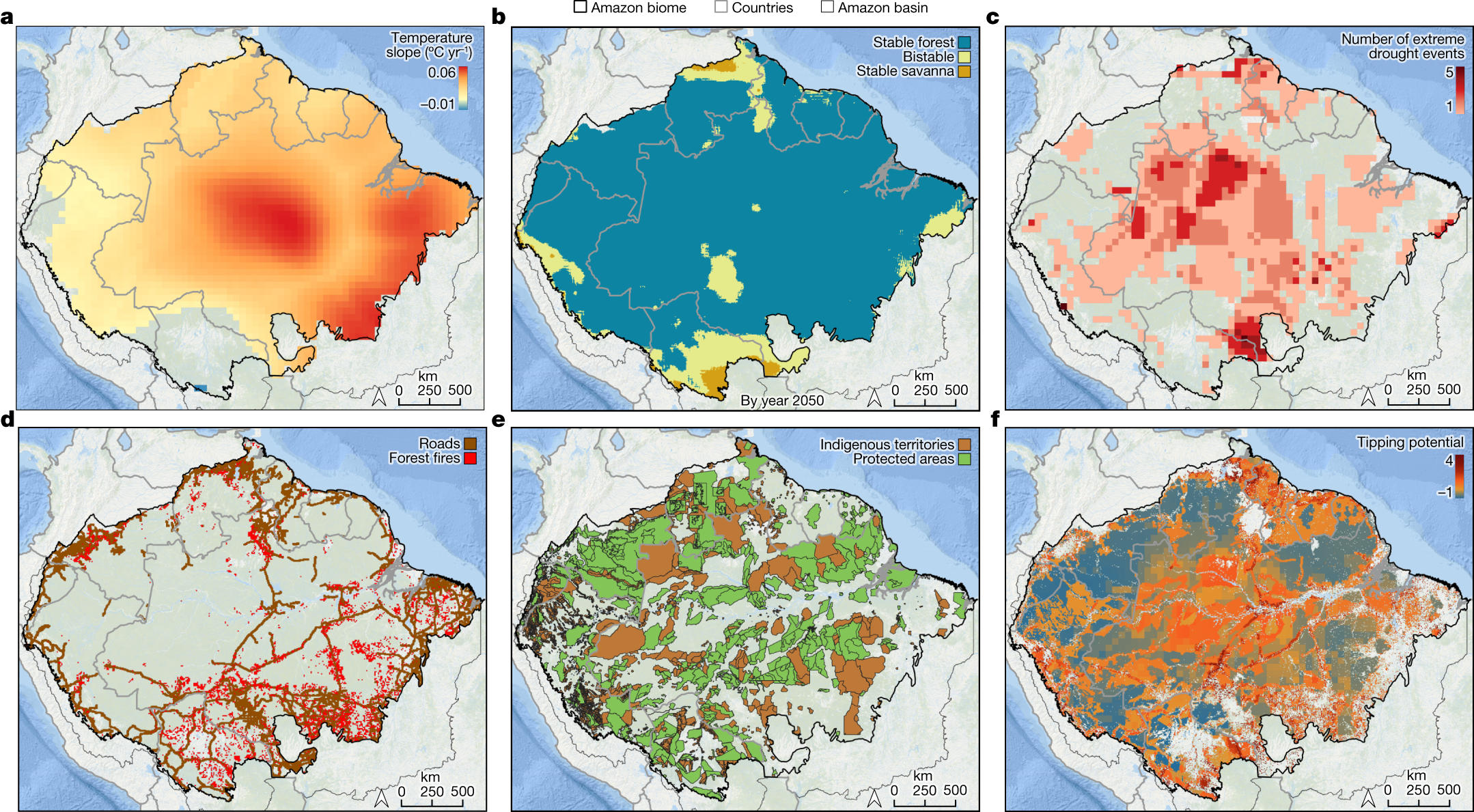 amazon rainforest resilience under threat: can we protect this vital carbon sink?