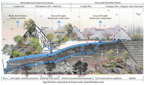 Bird Diversity in Agroforestry: Shaping a Sustainable Future for Tropical Landscapes