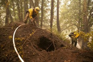 Wildfires And Drought Devastate Pacific Timberland: A $11.2 Billion Loss