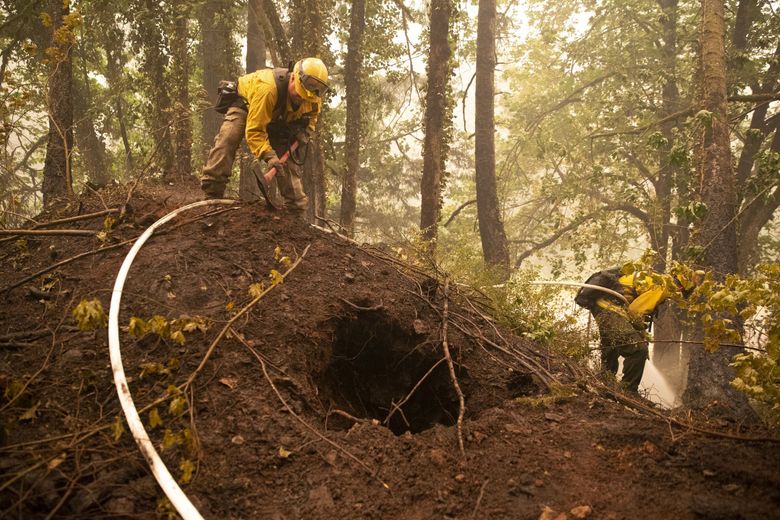 wildfires and drought devastate pacific timberland: a $11.2 billion loss