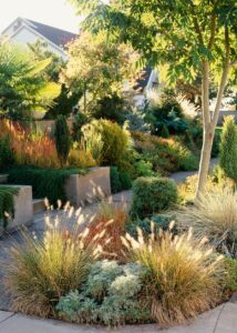 Desert Oasis: 20 Drought-Resistant Plants for Dry Climates