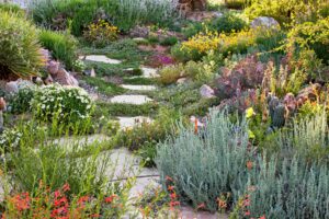 Gardening Trends: What'S Hot in the World of Horticulture