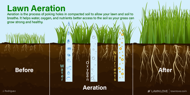 Lawn Love: The Best Lawn Aerator And How to Use It