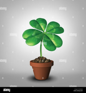 Lucky Charm: How to Grow a Thriving Shamrock Plant