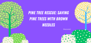 saving pine trees with Brown needles