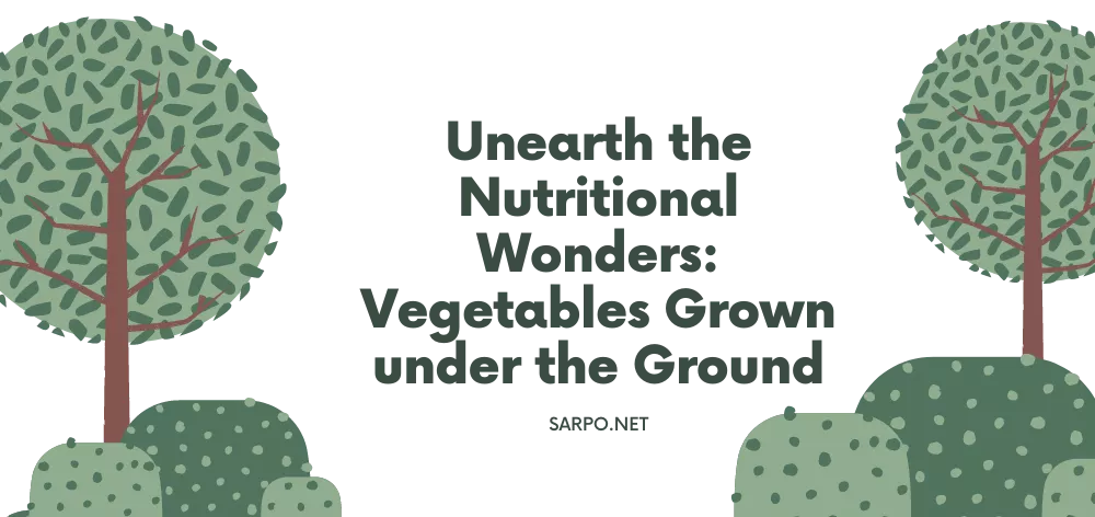 Vegetables Grown under the Ground