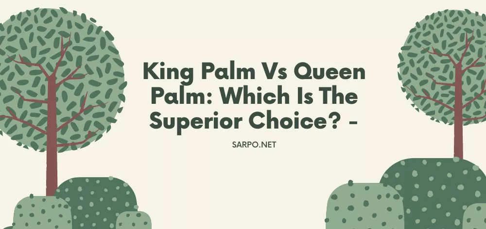 King Palm Vs Queen Palm