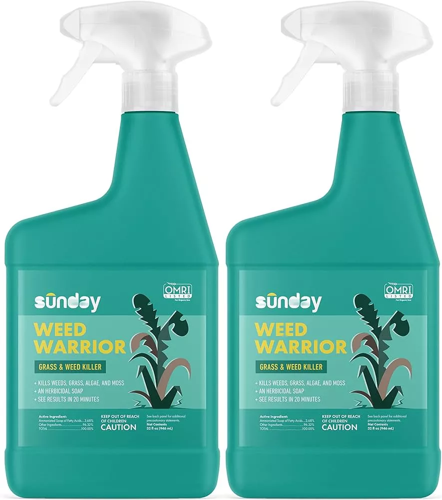 Weed Warriors: Common Types of Weeds And How to Treat Them