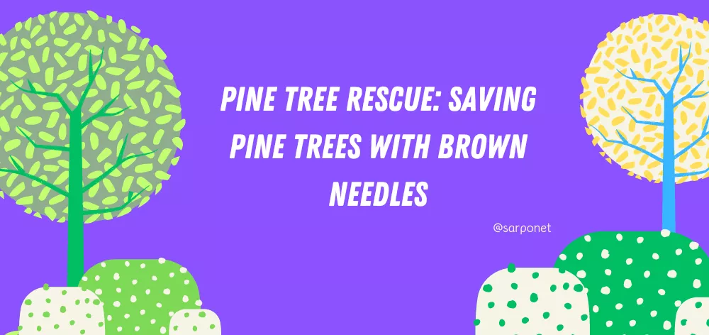 White Oak Tree Identification: A Comprehensive Guide 4 Pine Tree Rescue: Saving Pine Trees with Brown Needles
